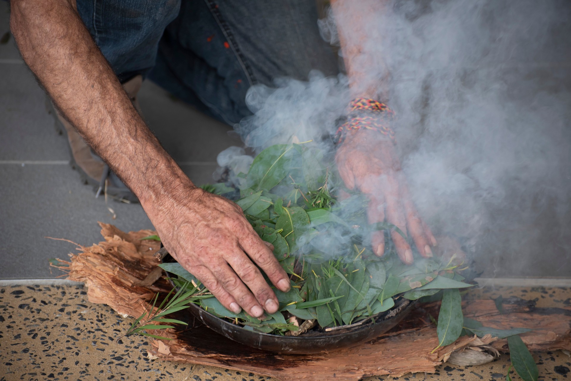 Preparation of a smoking ceremony, an Australian Aboriginal cleansing and welcome to country activity.